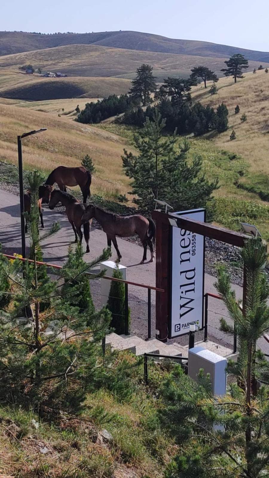 Вилла Wild Nest Zlatibor Bear Экстерьер фото