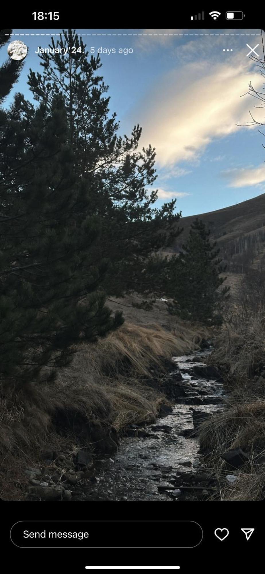 Вилла Wild Nest Zlatibor Bear Экстерьер фото