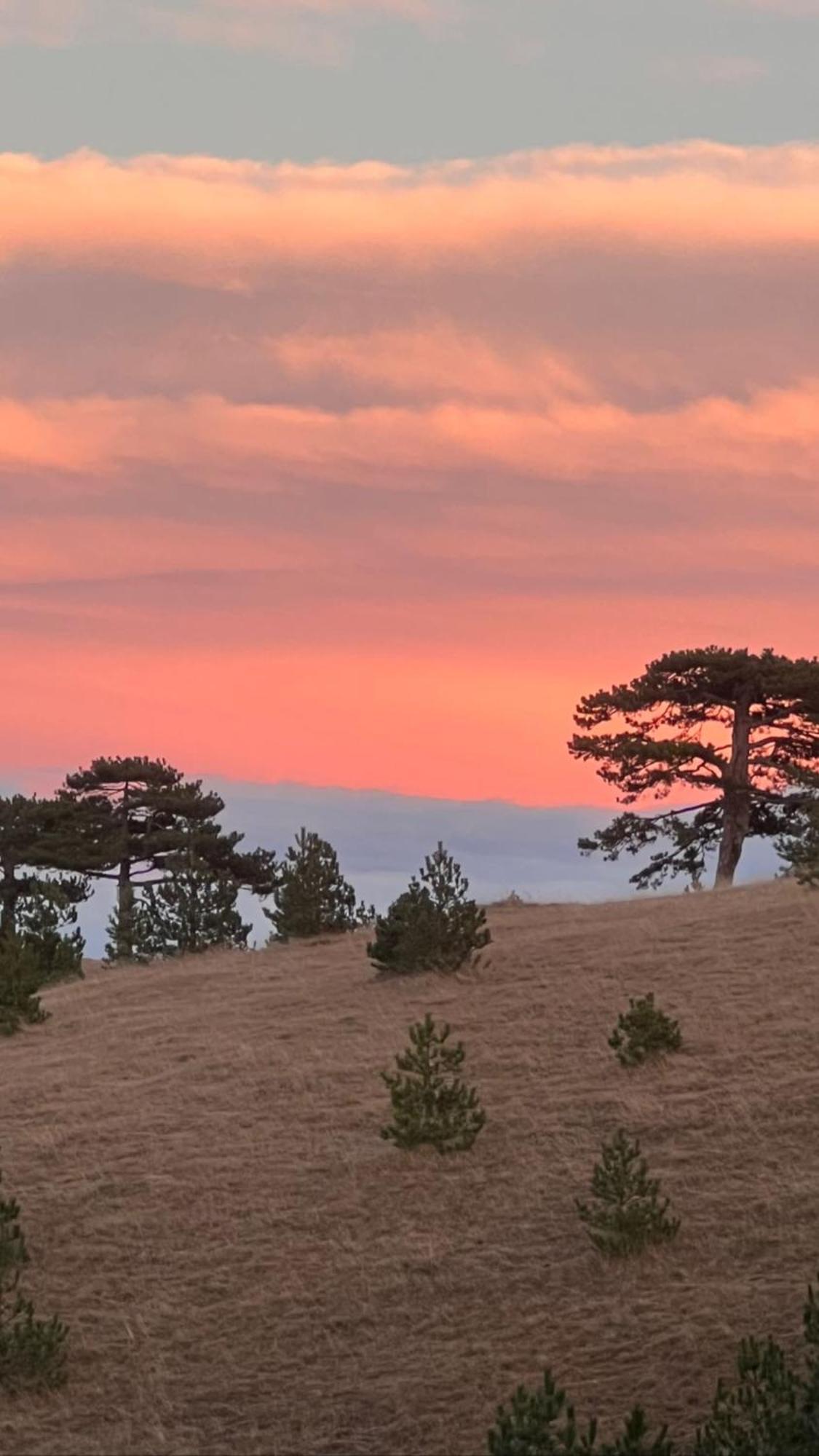 Вилла Wild Nest Zlatibor Bear Экстерьер фото